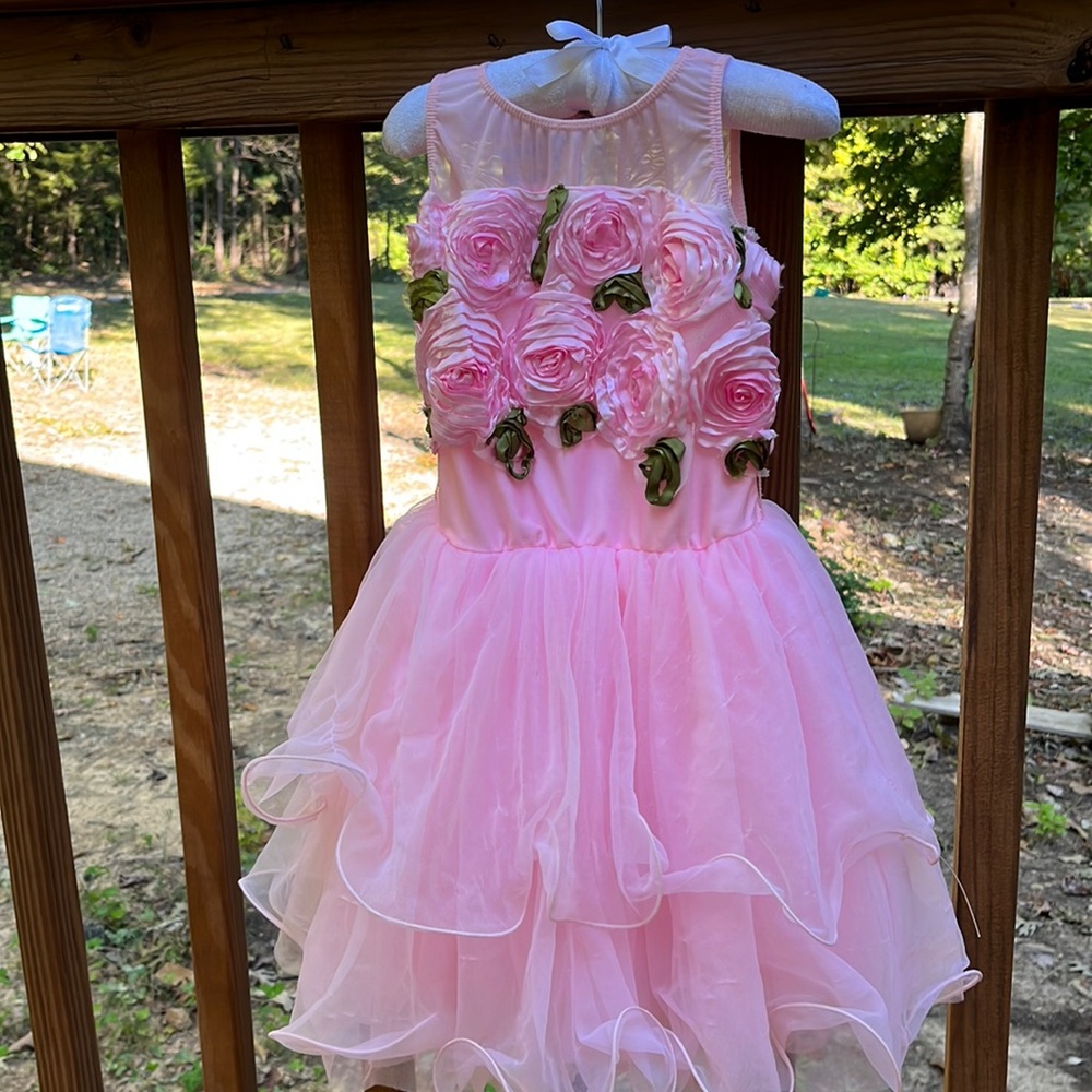 Costume/ballerina/dance/recital/flower/cute little ballerina dress